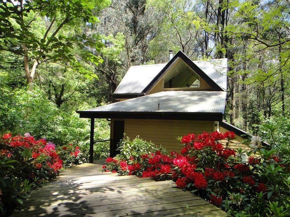 Lochiel Luxury Accommodation Olinda Exterior foto
