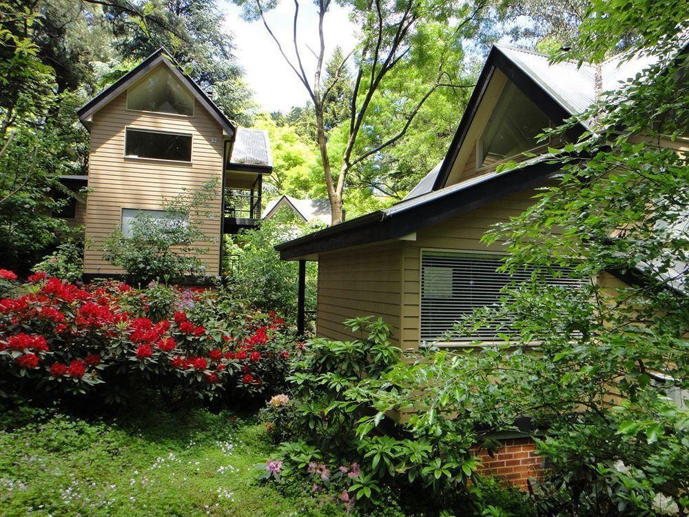 Lochiel Luxury Accommodation Olinda Exterior foto