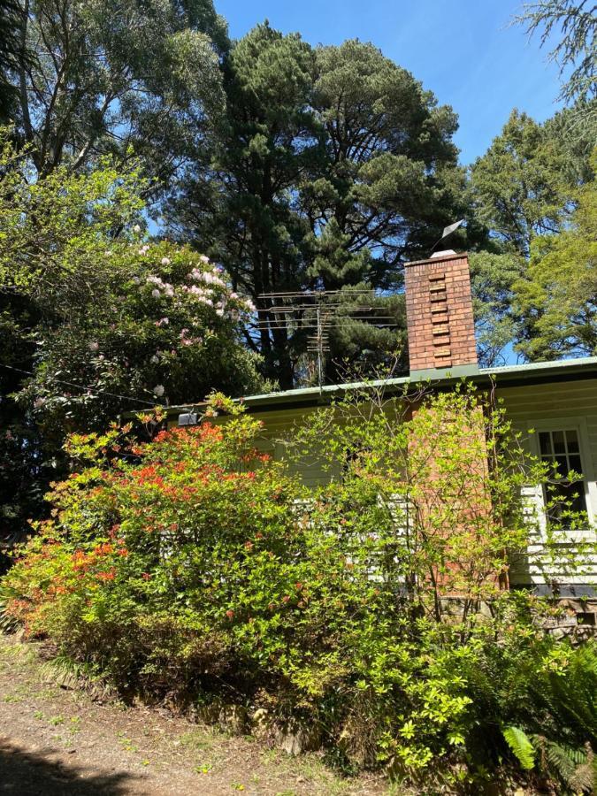 Lochiel Luxury Accommodation Olinda Exterior foto